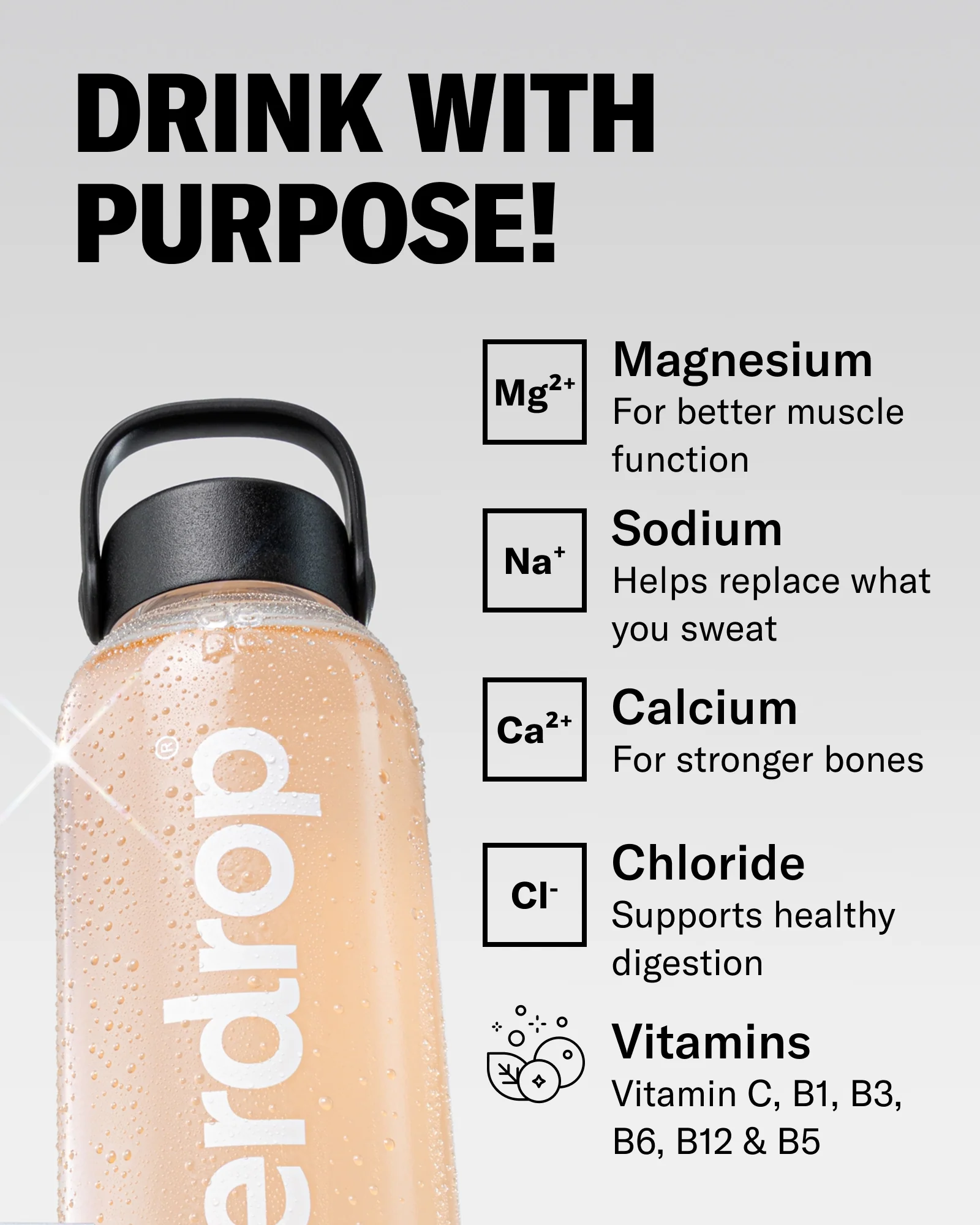 GRAPEFRUIT RECHARGE - Image 5